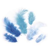 assortiment de plumes teintes bleues