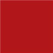 Marqueur Amsterdam Rouge Pyrrole 315