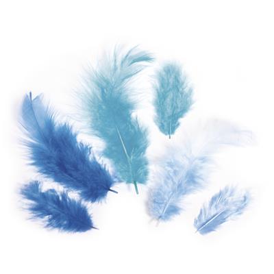 assortiment de plumes teintes bleues