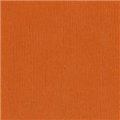 Bazzill Canvas Orange