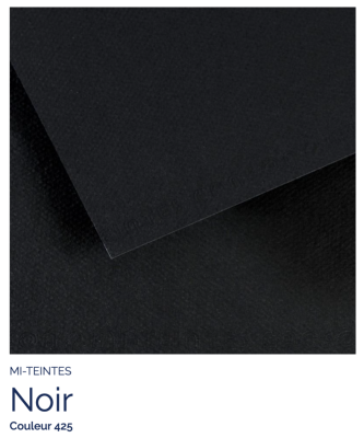 Mi-Teintes - Noir (425)