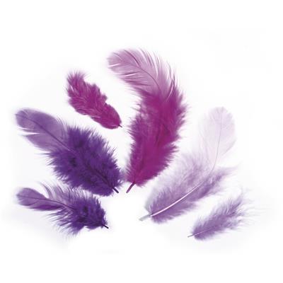 assortiment de plumes teintes violettes