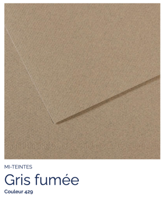 Mi-Teintes - Gris fumée (429)