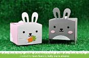 Die Tiny Gift Box rabbit Add-On