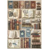 feuille de riz - vintage library - livres