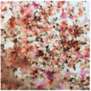 Infusion : Terracotta