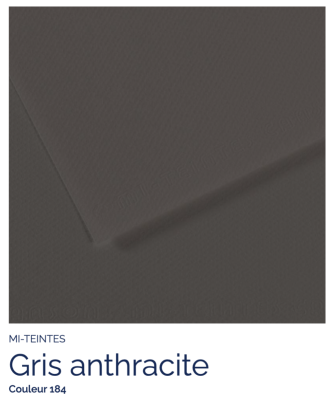 Mi-Teintes - Gris anthracite (184)