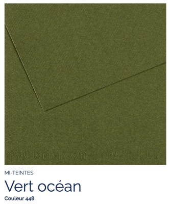 Mi-Teintes - Vert océan (448)