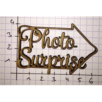 Photo Surprise