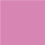 Marqueur Amsterdam Rose Quinacridone Clair 385 - S