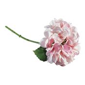 Hortensia rose 33cm