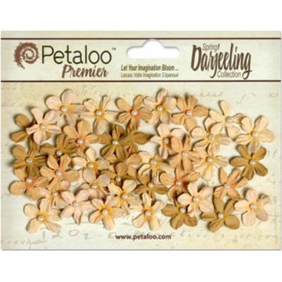 Fleurs Petaloo Darjeeling : Mini Pearl Daisy - Shabby Beige
