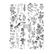 Transferts Dcors <br> Spring Meadow Life