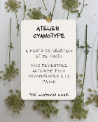 Atelier au magasin - Cyanotype - 22 août 26