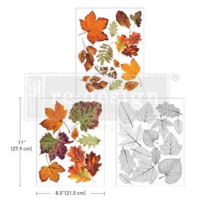 Transferts Décors <br> Crunchy leaves forever