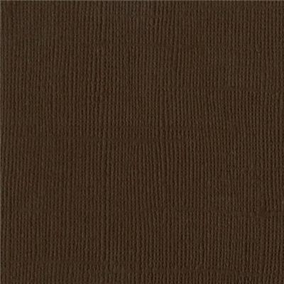 Bazzill Canvas Brown