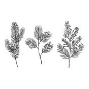 BetterPress plate - Evergreen branches