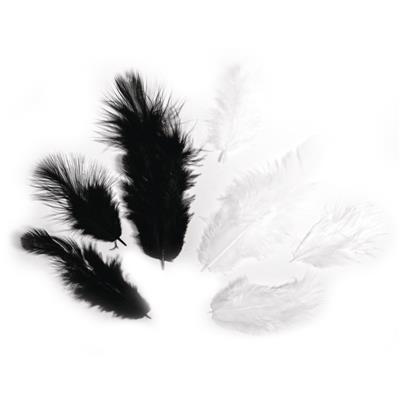 assortiment de plumes noires et blanches
