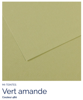 Mi-Teintes - Vert amande (480)
