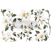 Transferts Décors <br> White Magnolia