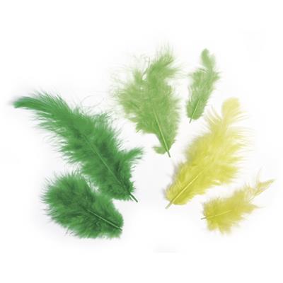 assortiment de plumes teintes vertes