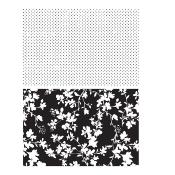 Tampon Dots & floral