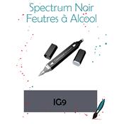 Feutre Spectrum Noir<br>IG9