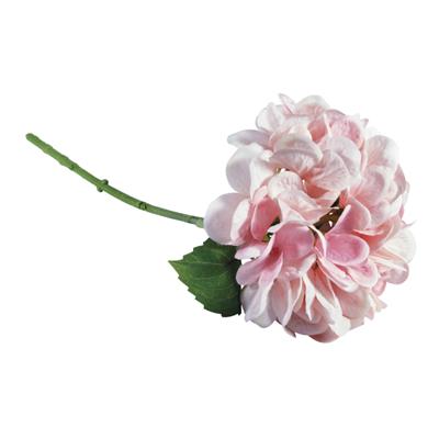 Hortensia rose 33cm