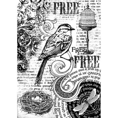papier de riz A4 : free bird