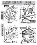 Tampon Autumn blueprint