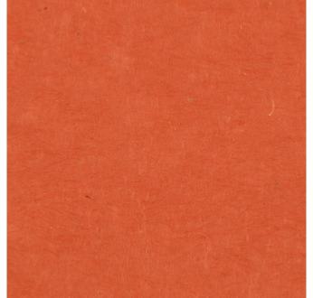 Papier Népalais "Lokta" Paprika 50-70