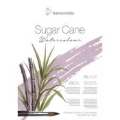 Sugar Cane Watercolour 