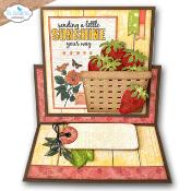 Fresh fruit - Everyday Elements