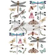 Transferts Décors <br> Riverbed dragonflies