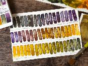 Autumn - watercolor triad set - 3 tubes 5mL