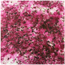 Infusion : Magenta