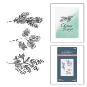 BetterPress plate - Evergreen branches