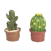 4 petits cactus en résine