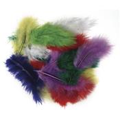 assortiment de plumes