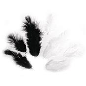 assortiment de plumes noires et blanches