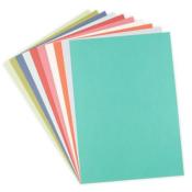 Papier cartonn botanical colors - 60 feuilles 