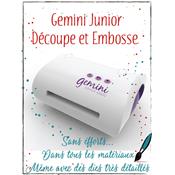 Gemini Junior