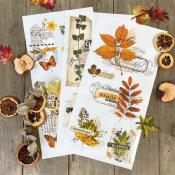 Transferts Dcors <br> Foliage collector
