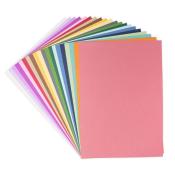 Papier cartonné muted colors - 80 feuilles 