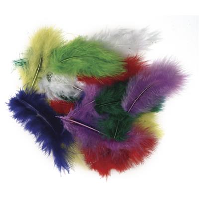 assortiment de plumes