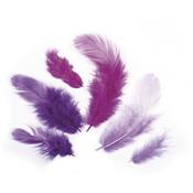 assortiment de plumes teintes violettes