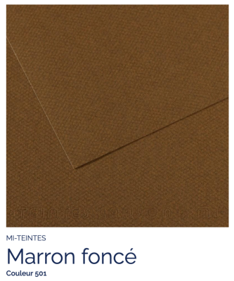Mi-Teintes - Marron foncé (501)