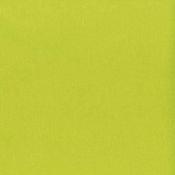 Toile de reliure<br>vert