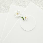 Snowdrift - Essentials Cardstock