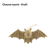 Chauve souris